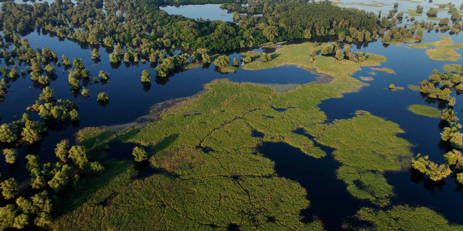 01 kopacki rit2 goran safarek