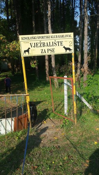 14045930_10208685475548280_7609945868420802732_n (Kopiraj).jpg