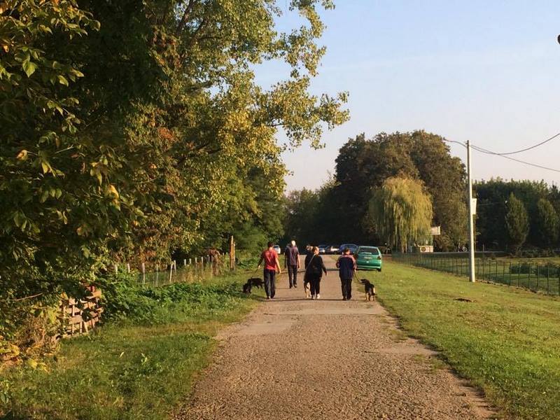 14182230_10210217141804254_533946307_n (Kopiraj).jpg