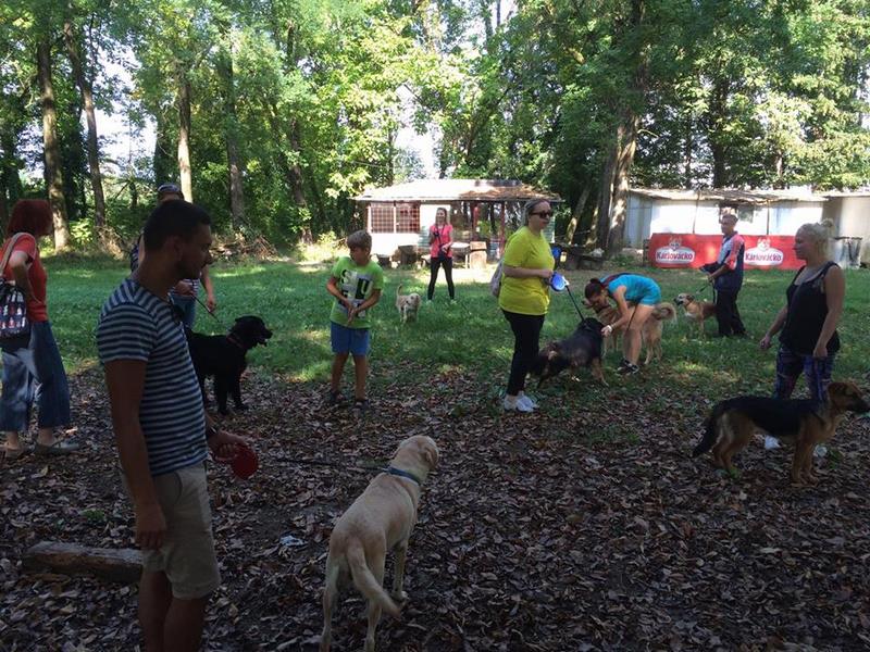 14182475_10208093665191650_335150237_n (Kopiraj).jpg