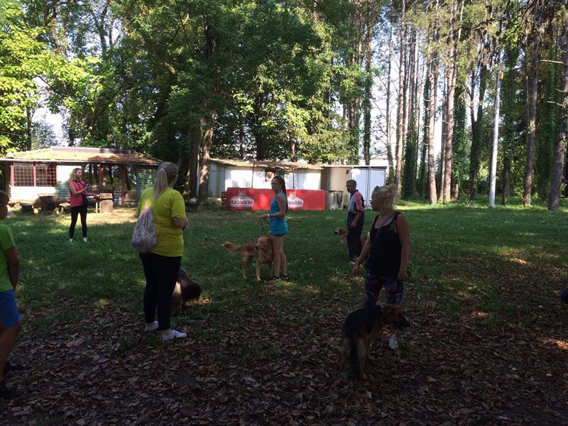 14193665_10208093665271652_2095116685_n (Kopiraj).jpg