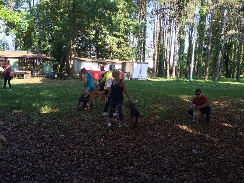 14218193_10208093665231651_1258570763_n (Kopiraj).jpg