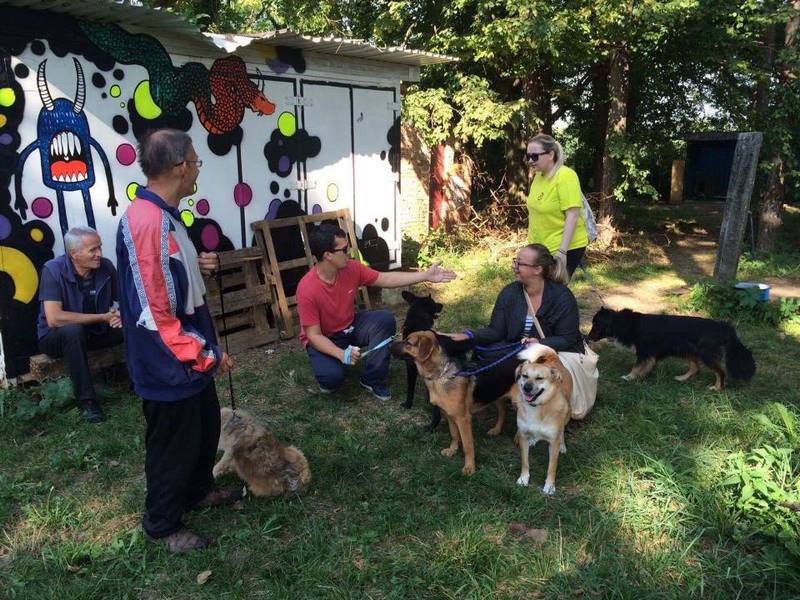 14222121_10208096498222474_1496442517270759954_n (Kopiraj).jpg