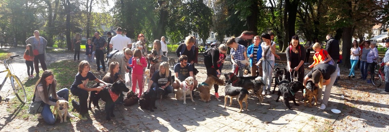 20161001_111356 (Kopiraj).jpg