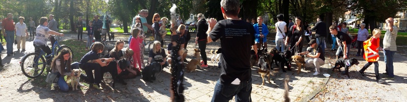 20161001_111407 (Kopiraj).jpg