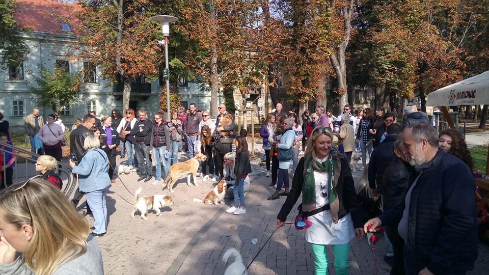 43951642 550791178698746 953460835378790400 n