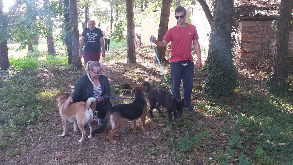 14199777 10208685476468303 2075735615608194095 n