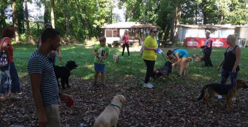 mjesanci_kinoloski-680x350 (Kopiraj).jpg